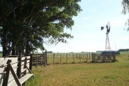 Campo EN VENTA