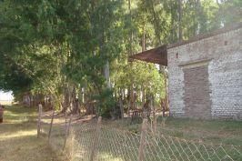 Campo EN VENTA