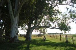 Campo EN VENTA