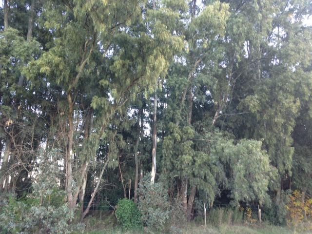Campo EN VENTA