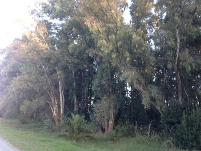 Campo EN VENTA
