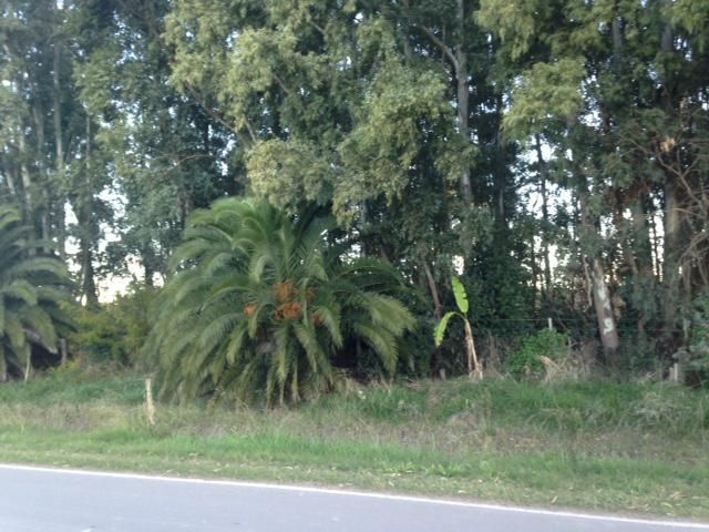 Campo EN VENTA