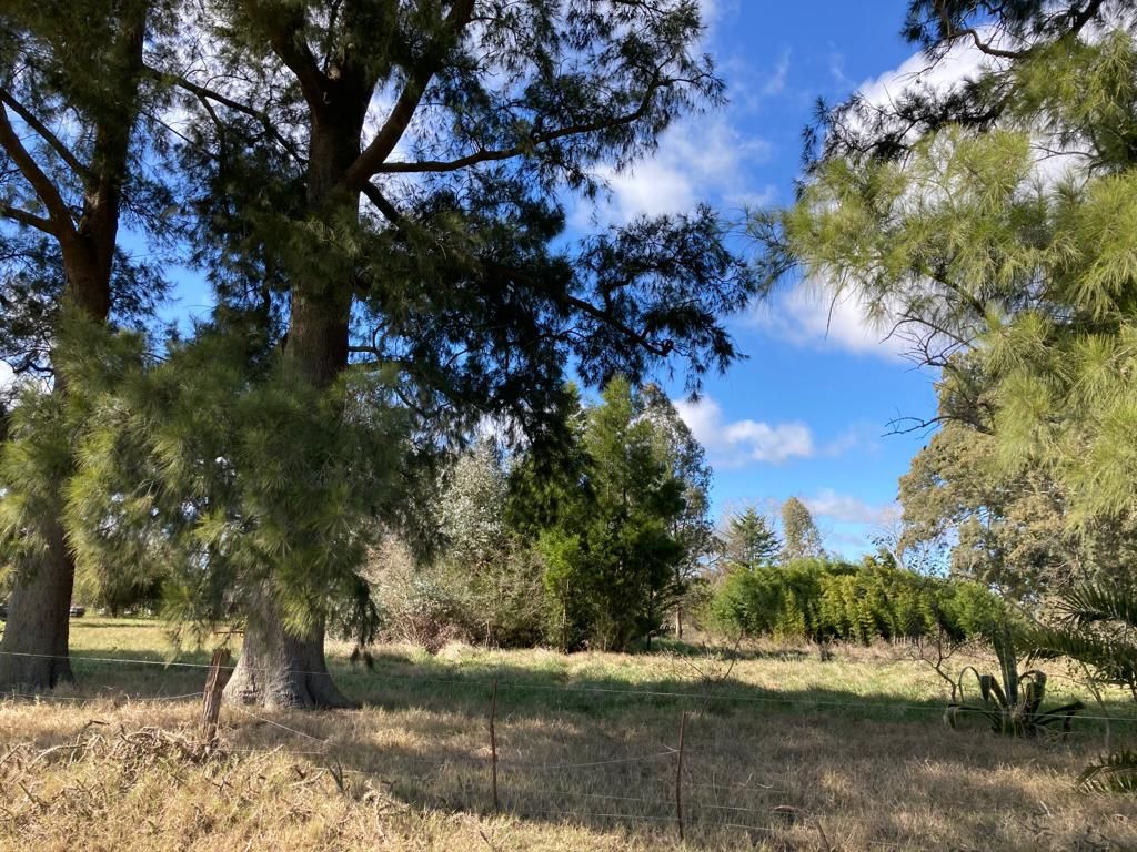 Campo EN VENTA
