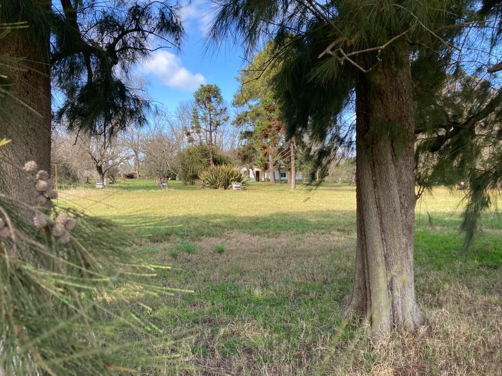 Campo EN VENTA