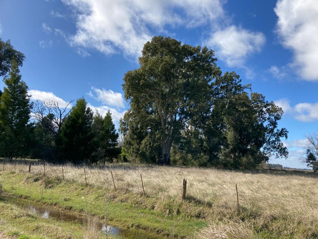 Campo EN VENTA