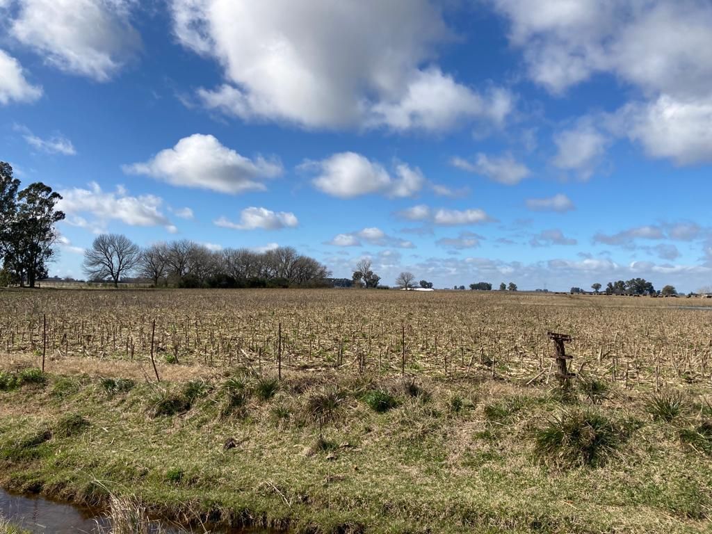 Campo EN VENTA