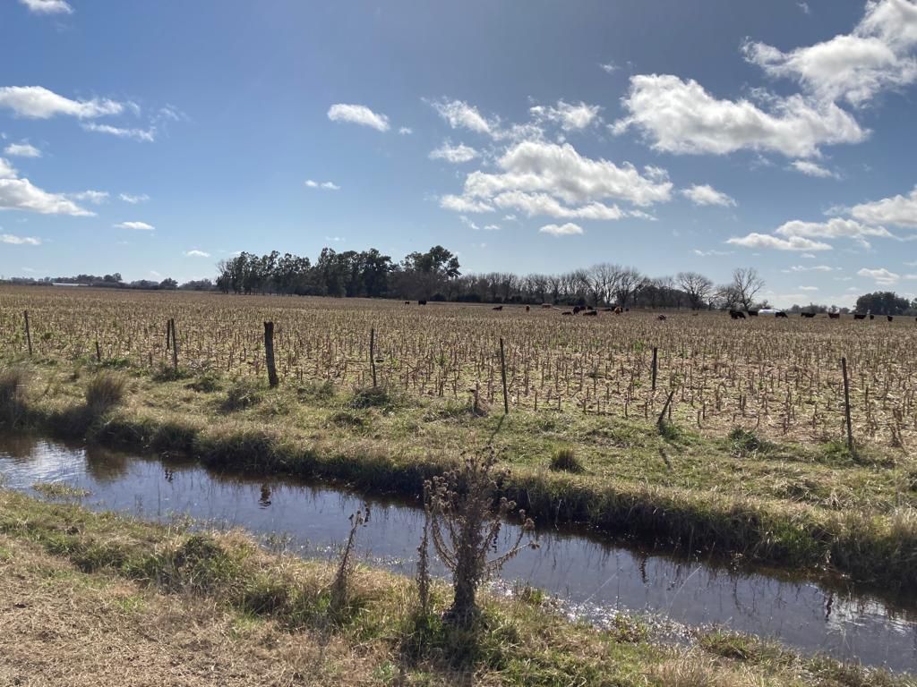 Campo EN VENTA