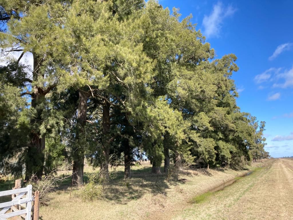 Campo EN VENTA