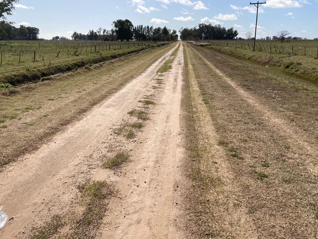 Campo EN VENTA