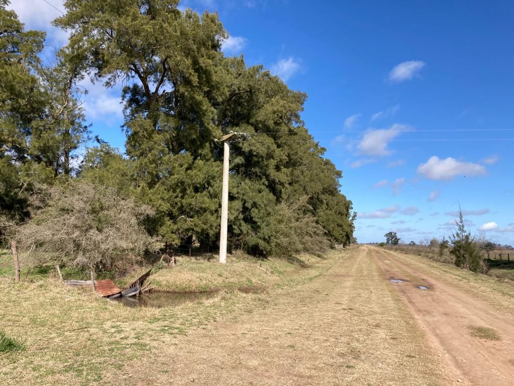 Campo EN VENTA
