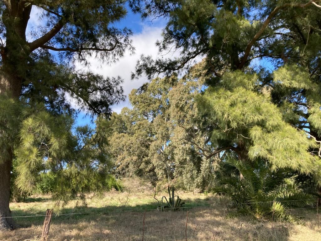 Campo EN VENTA