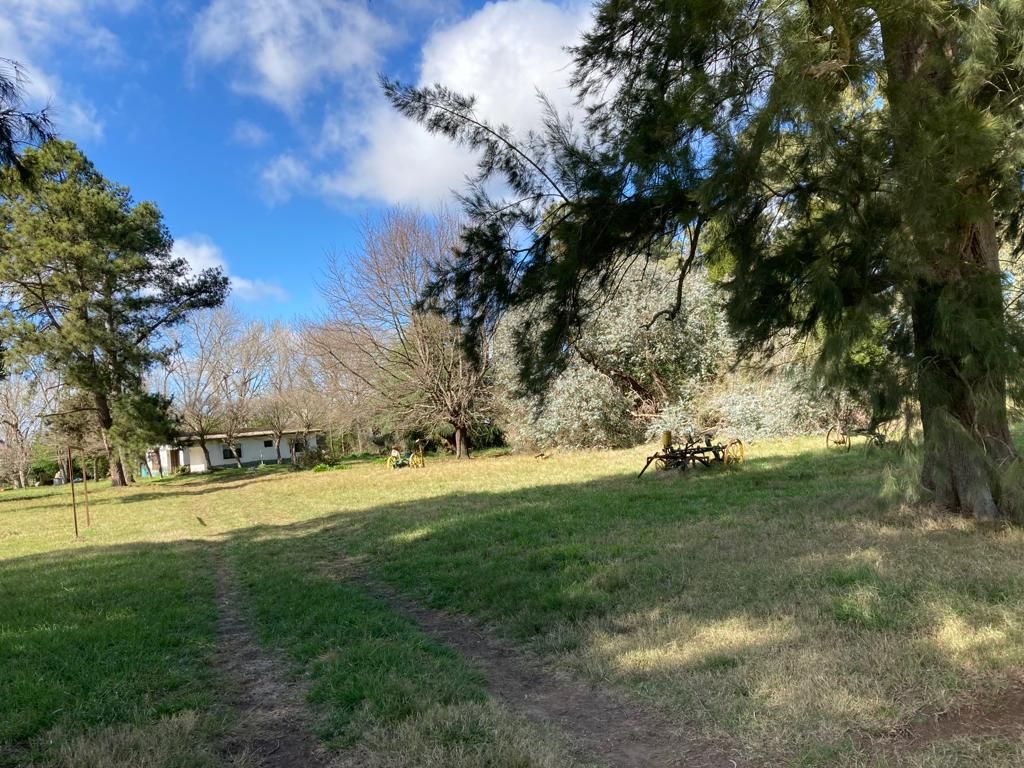 Campo EN VENTA