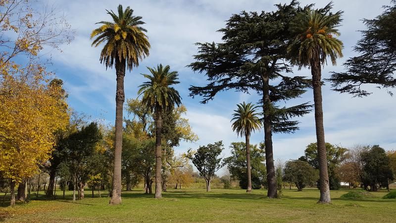 Lote EN VENTA
