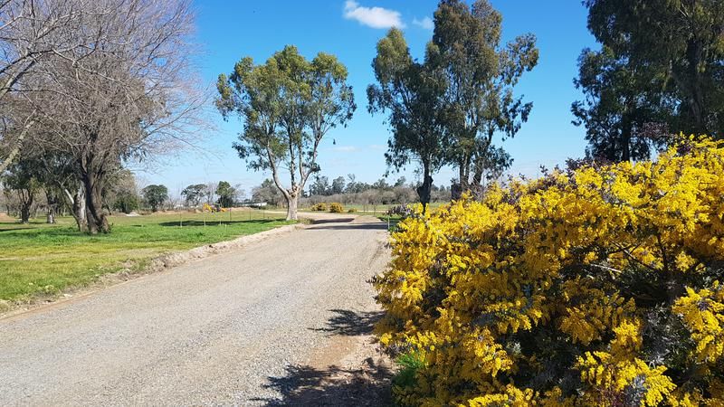 Lote EN VENTA