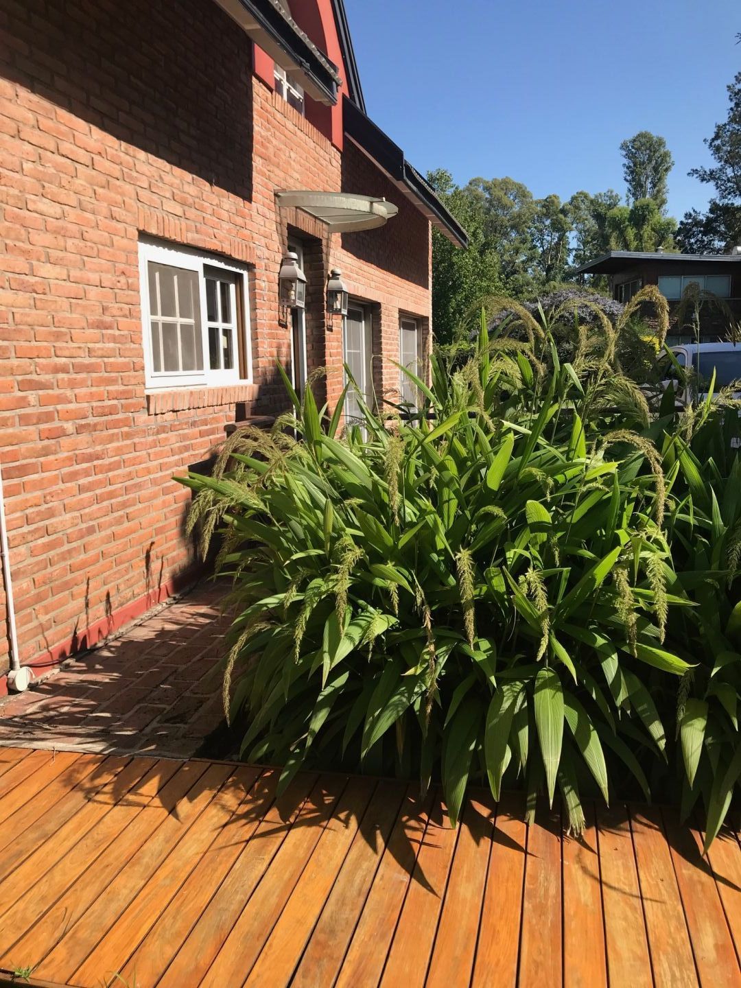 Casa EN ALQUILER