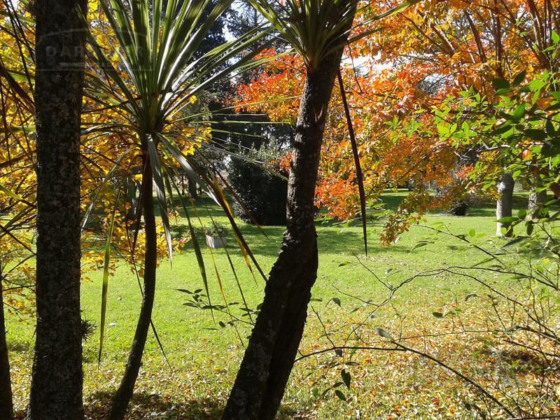 Campo EN VENTA