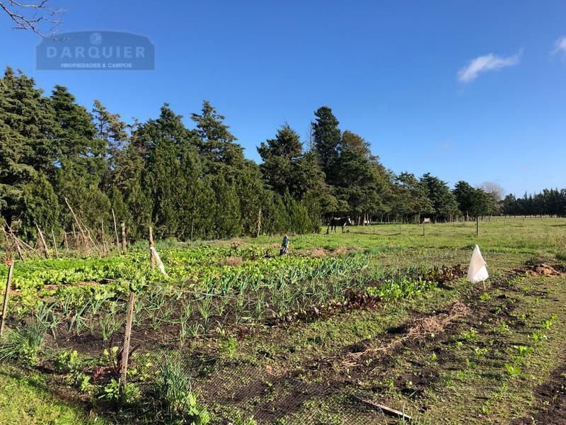 Campo EN VENTA