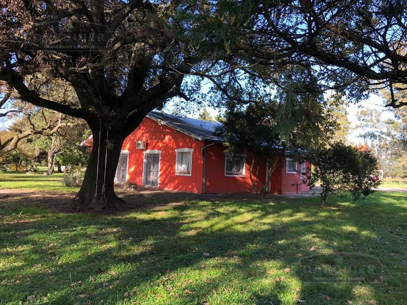 Campo EN VENTA