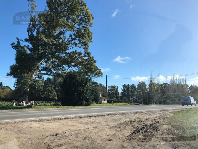 VENTA DE CAMPO EN Interior Buenos Aires - Coronel Brandsen - 21