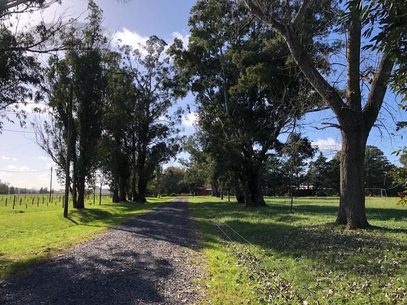 VENTA DE CAMPO EN Interior Buenos Aires - Coronel Brandsen - 22