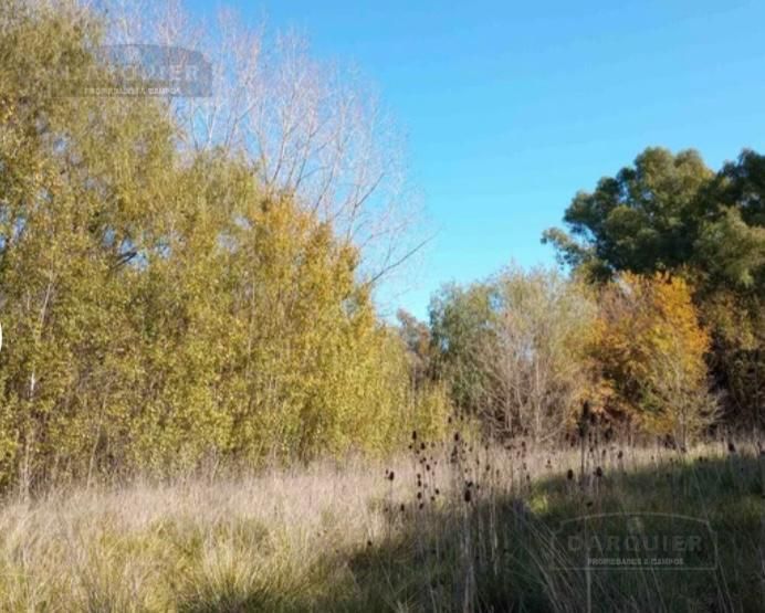 Lote EN VENTA
