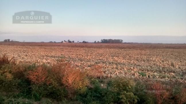 Campo EN VENTA