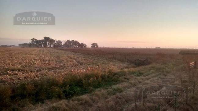Campo EN VENTA