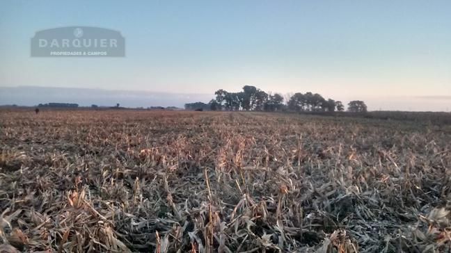 Campo EN VENTA