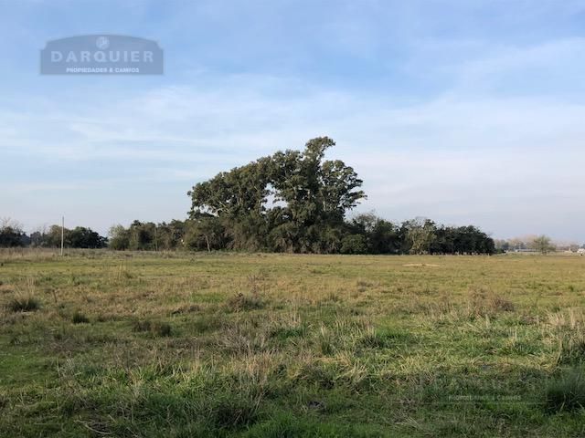 Campo EN VENTA