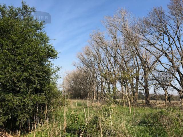 Campo EN VENTA