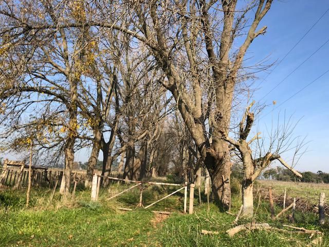 Campo EN VENTA