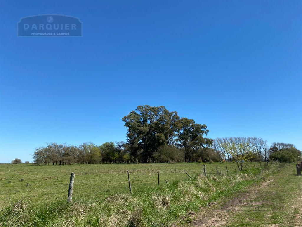 Campo EN VENTA