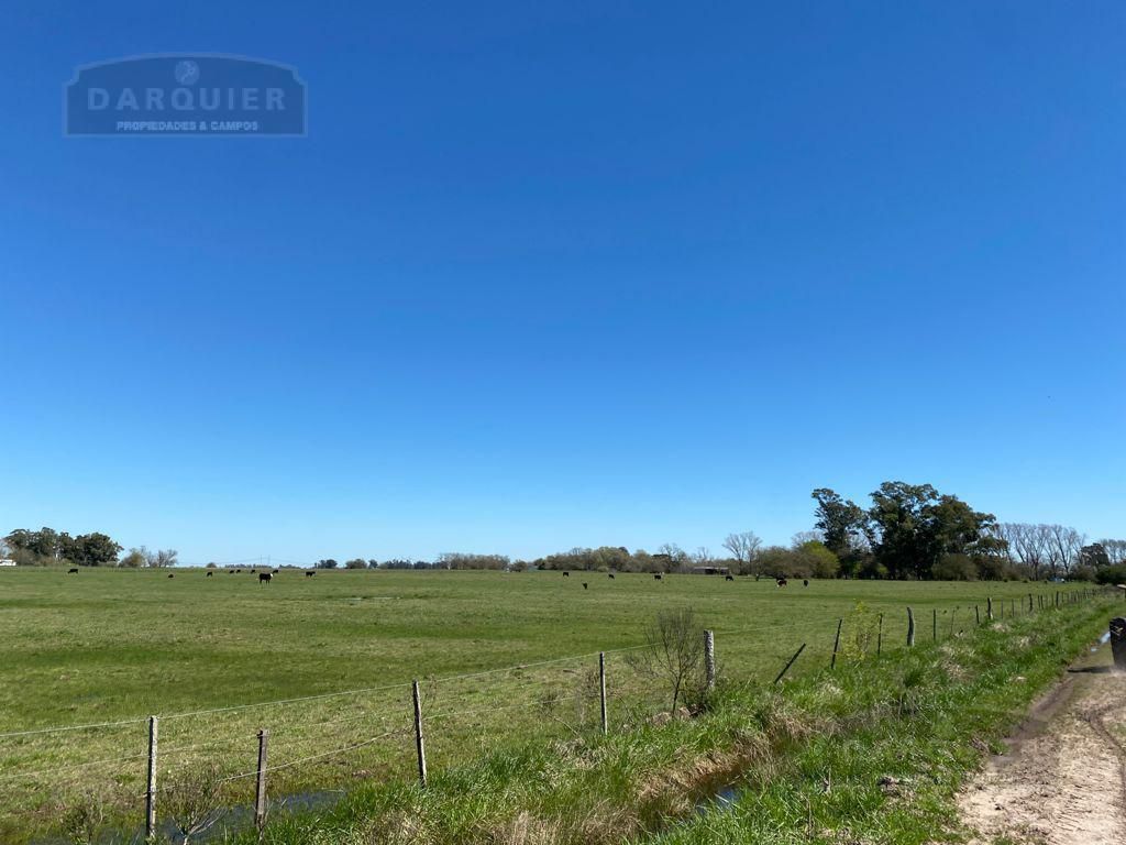 Campo EN VENTA