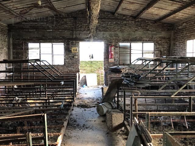 Campo EN VENTA