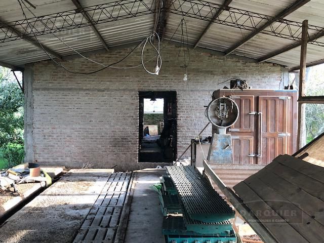 Campo EN VENTA