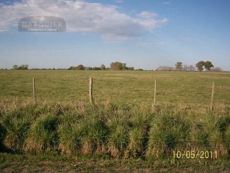 Campo EN VENTA