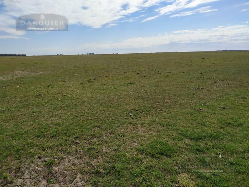 Campo EN VENTA