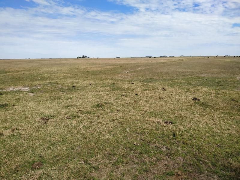 Campo EN VENTA