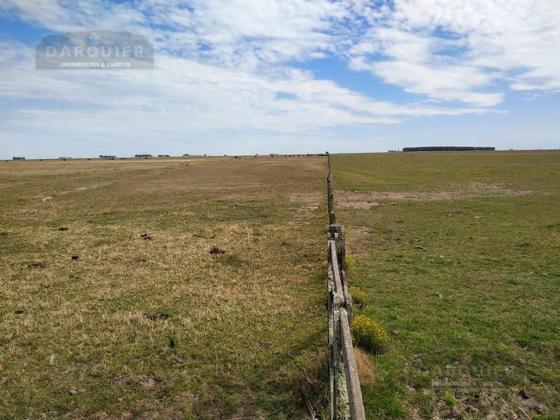 Campo EN VENTA