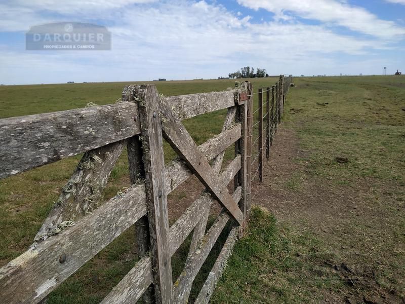 Campo EN VENTA