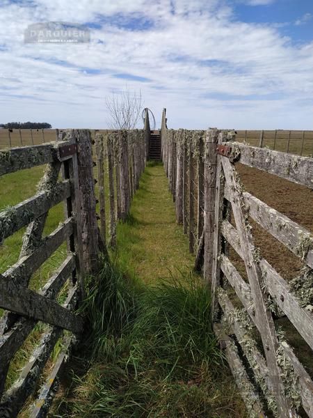 Campo EN VENTA