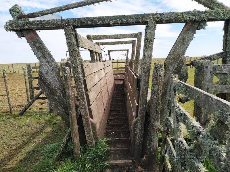 Campo EN VENTA