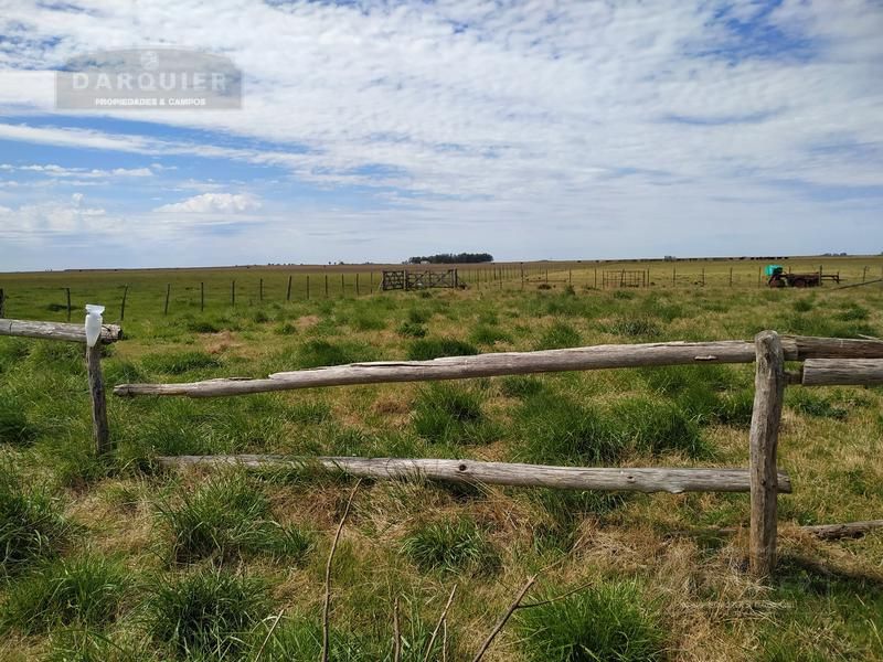 Campo EN VENTA
