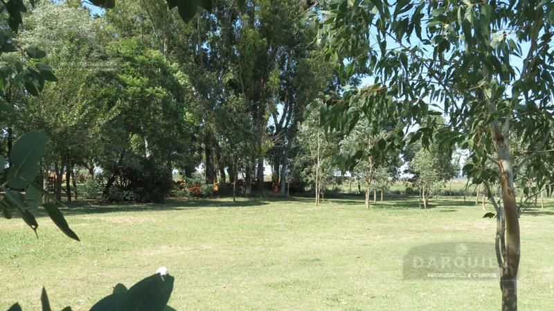 Campo EN VENTA