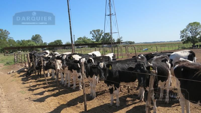 Campo EN VENTA