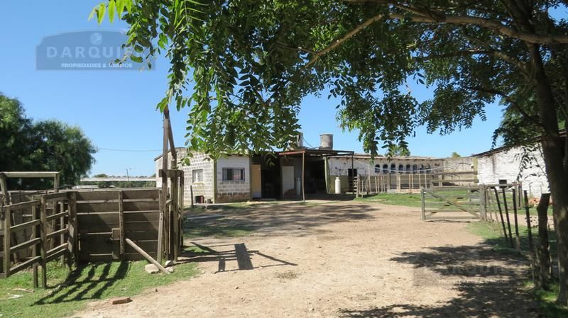 Campo EN VENTA
