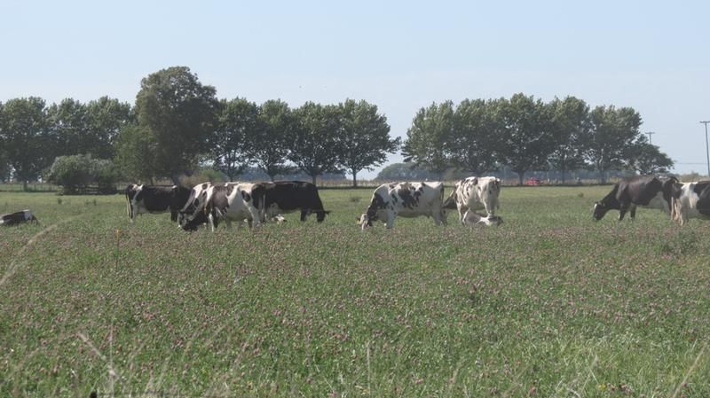 Campo EN VENTA