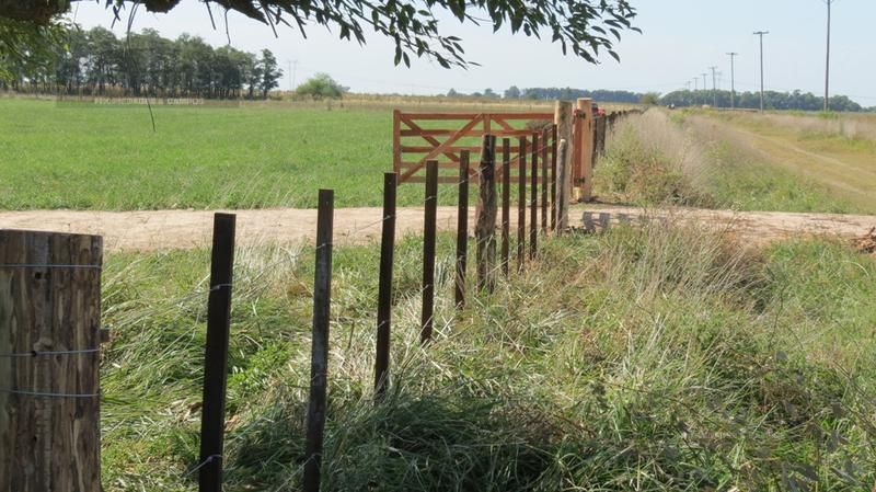 Campo EN VENTA