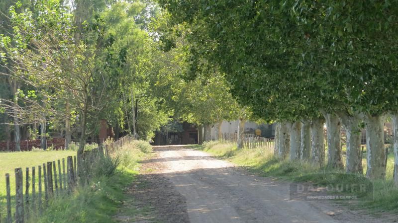 Campo EN VENTA
