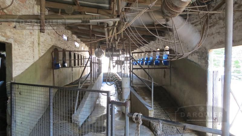 Campo EN VENTA